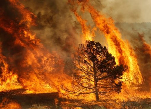 Высший уровень пожарной опасности объявлен в Греции