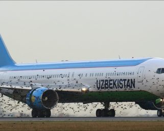 Китай выдаст кредит Узбекистану на обновление самолетов