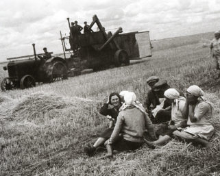 Тест: что Вы знаете о колхозной жизни?