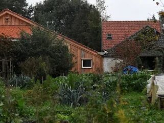 Голландская полиция нашла семью на ферме после 9 лет заточения