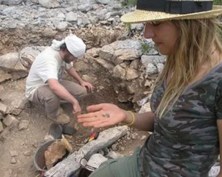 Собаки нашли шесть доисторических гробниц