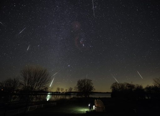 В ночь на 22 ноября наблюдалась вспышка активности метеорного потока
