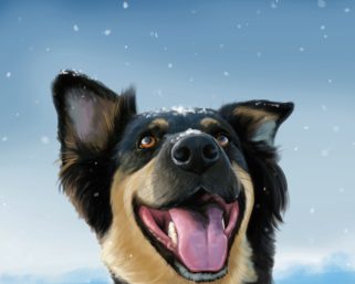 Самый милый тест: угадай зверя по носу