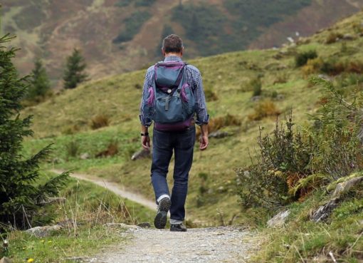 Тест: Вы сможете выжить в дикой природе?
