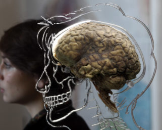 Ученые нашли клетки мозга, вызывающие отвращение к курению