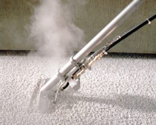 Особенности использования пара во время чистки ковров