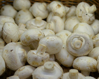 Россельхознадзор упростил порядок ввоза продукции в Россию