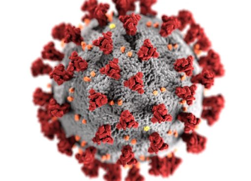 Ученые нашли новые опасные мутации коронавируса