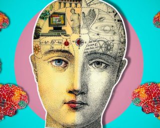 Тест: Ответь на 6 вопросов и узнай, насколько у тебя широкий кругозор