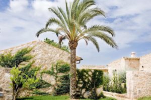 Ситуация с короновирусом на Майорке