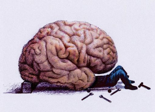 Тест на IQ: 10 вопросов для разминки мозга