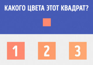 Этот визуальный тест раскроет все тонкости вашего типа личности