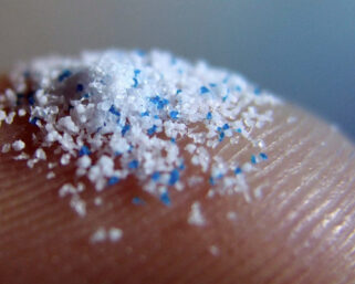 В человеческих органах нашли микропластик