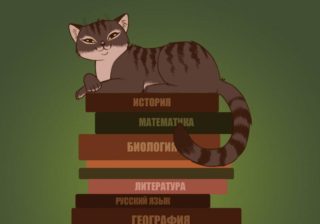 Тест: Насколько вы эрудированны?