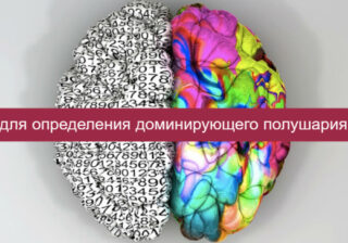 Тест: правая или левая, какая часть вашего мозга управляет вашими действиями?