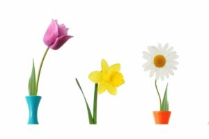 Тест для милых дам: А какой вы цветок?