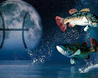 5 качеств Рыб, которых не хватает другим знакам