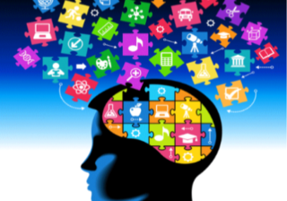 Ум против хитрости: с чем жить лучше?