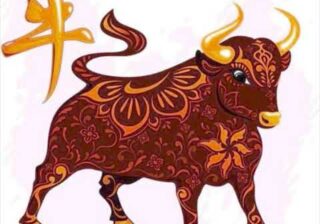 Каким будет 2021 год для каждого из знаков Зодиака