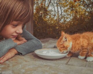 Кто добрый, а кто злой по гороскопу