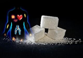 Влияние сладкого на работу человеческого мозга