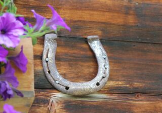 Какие знаки в 2021 году могут рассчитывать на спокойную и счастливую жизнь?